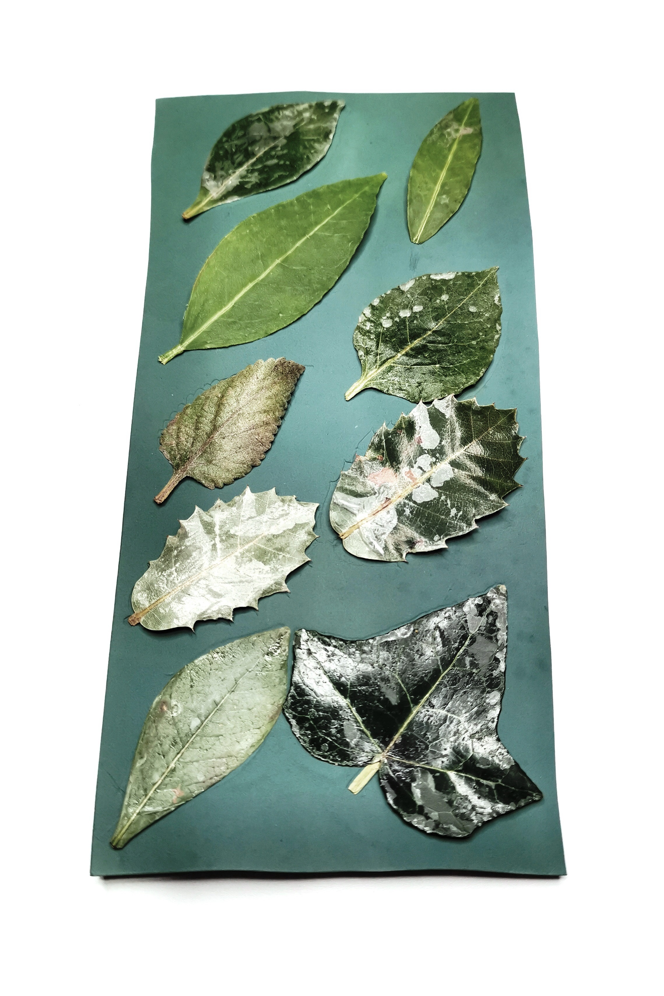 Imprimitura con foglie vere 