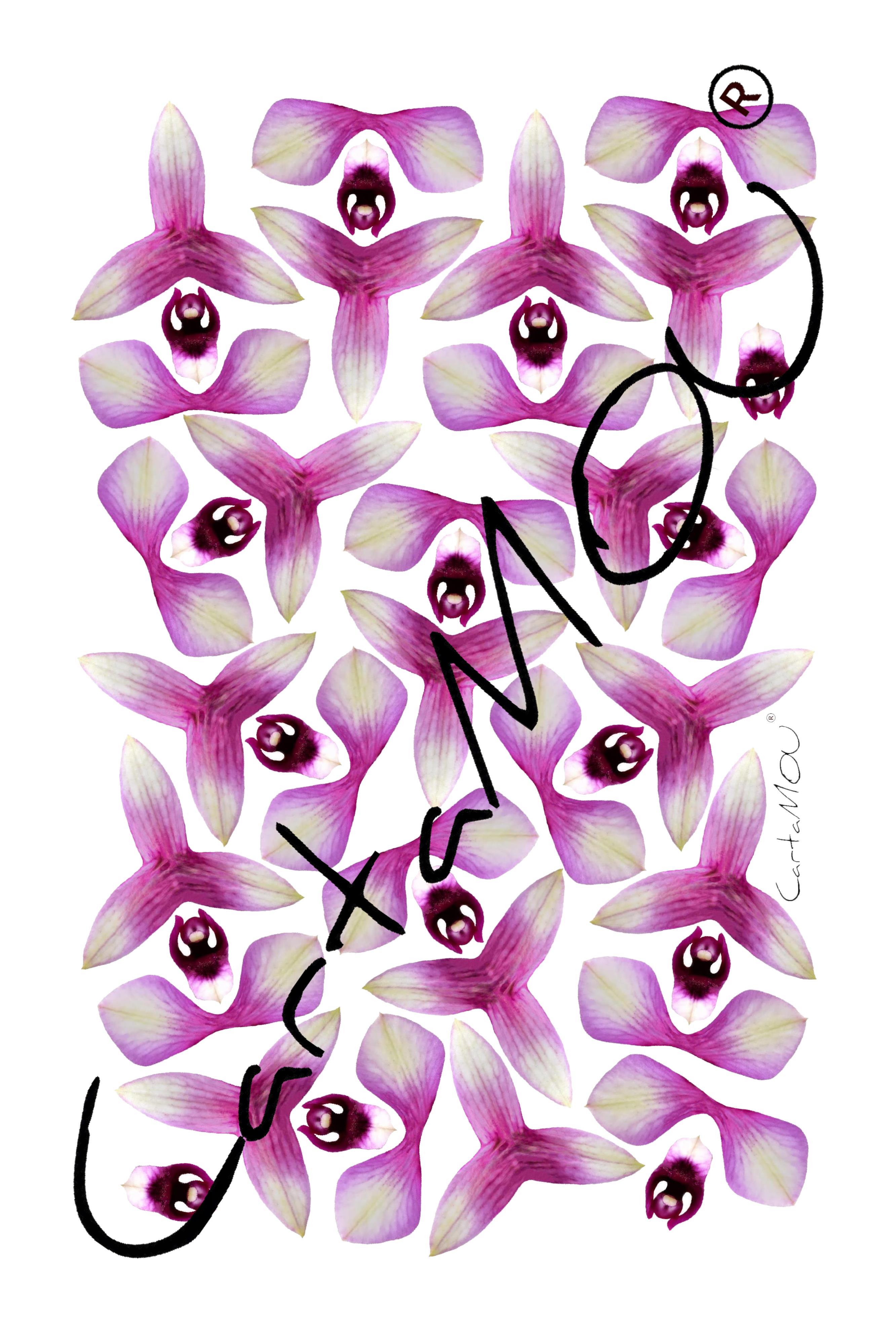 Stampa BB-R3D-FL1026m Mini Orchidee (speciale bomboniere)