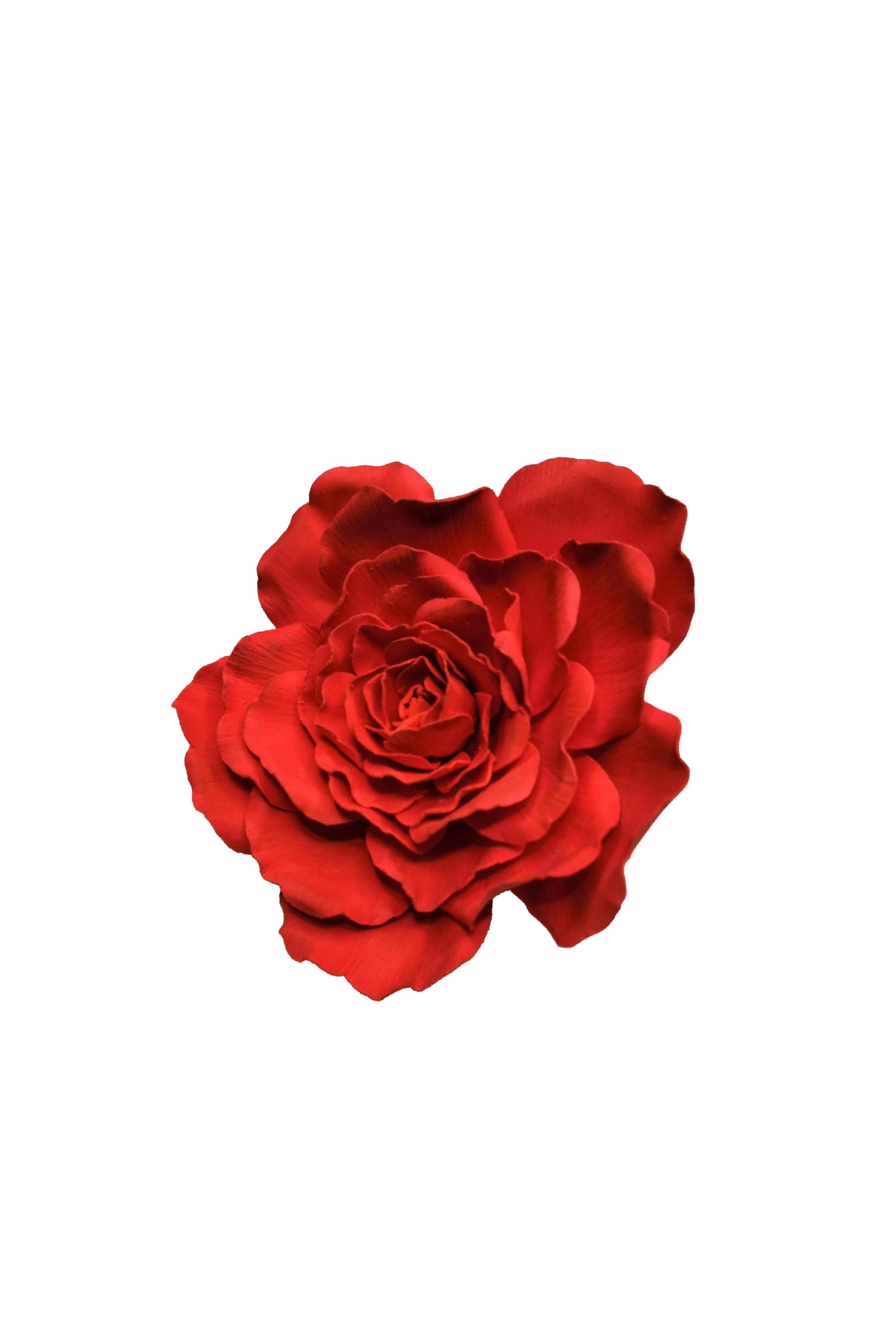rosa rossa per galleria